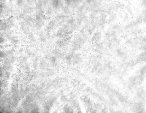 JS-Paper (16-B W).jpg