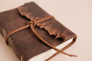 Wl journal.jpg